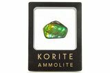 Iridescent Ammolite (Fossil Ammonite Shell) - Brilliant Green #265146-1